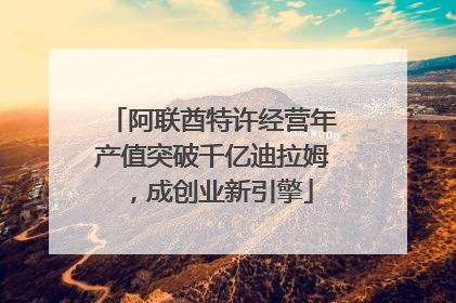 阿联酋特许经营年产值突破千亿迪拉姆，成创业新引擎